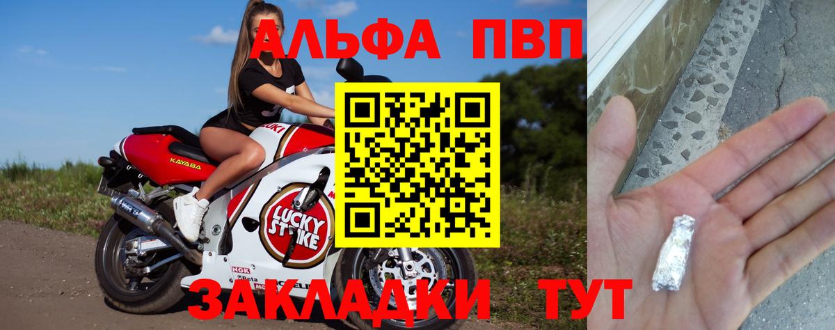 A-PVP СК КРИС Брянск