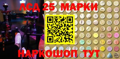 спиды Боровичи