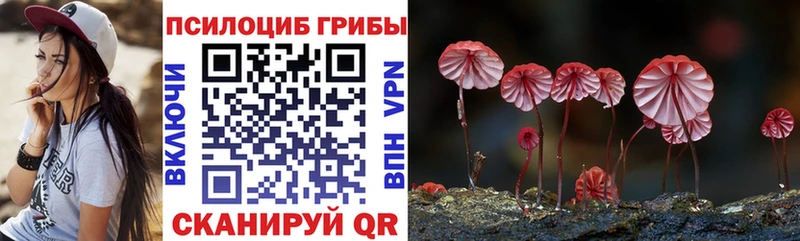 цены наркотик  Брянск  блэк спрут ССЫЛКА  Галлюциногенные грибы мицелий 