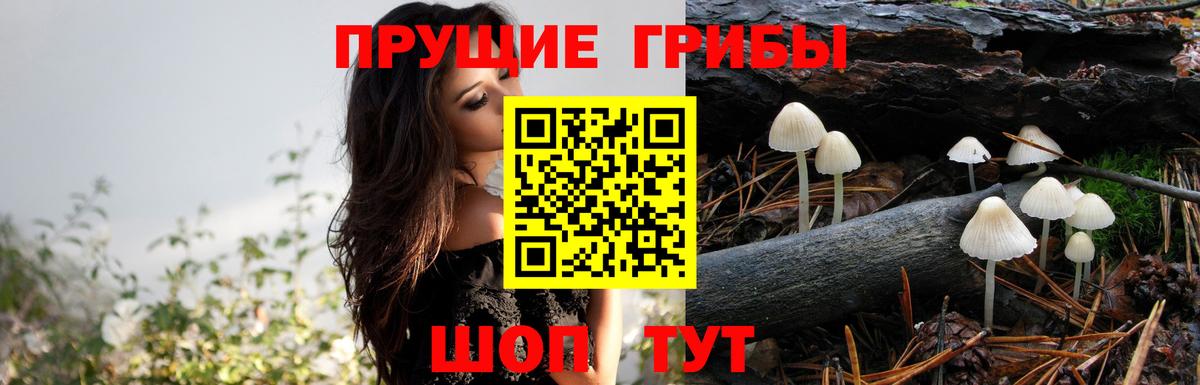 Галлюциногенные грибы Magic Shrooms Брянск